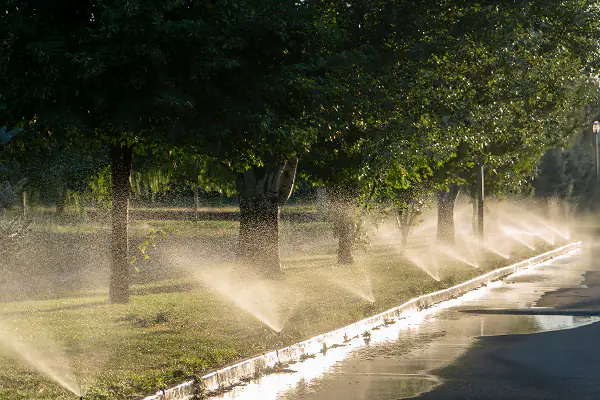 Commercial Irrigation Systems