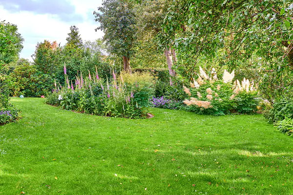 Custom Garden Design