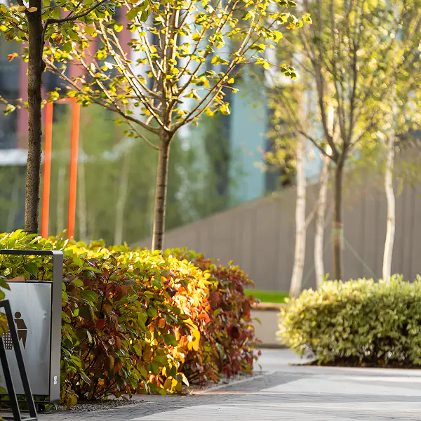 Landscape Design Feature