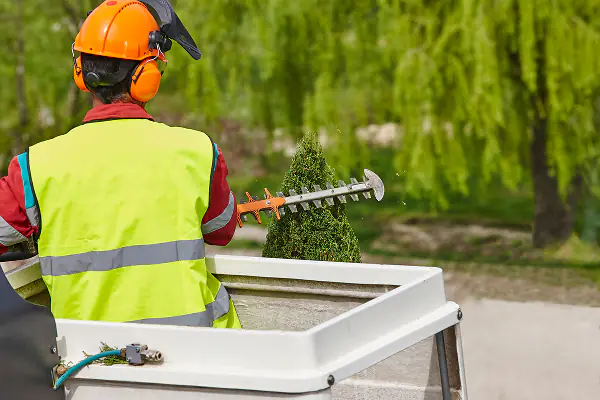 Property Maintenance