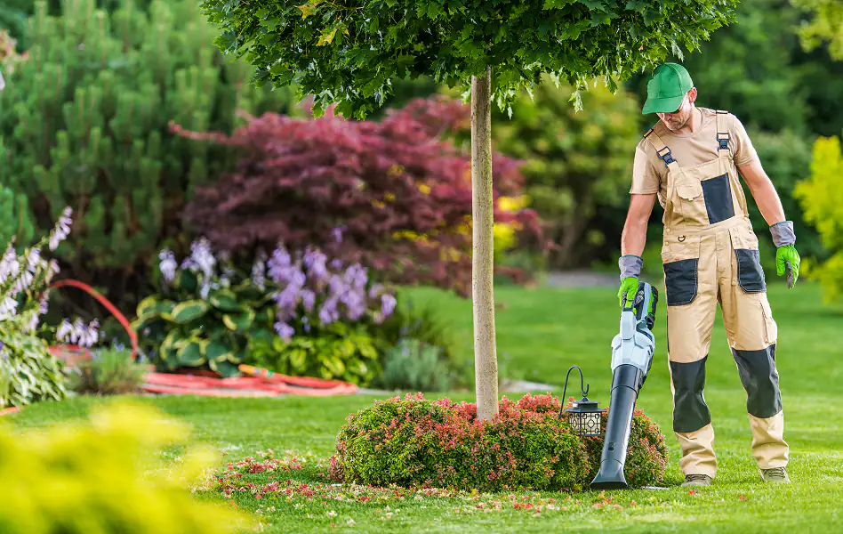 Seasonal Yard Cleanup Feature