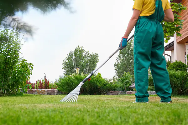 Seasonal Yard Cleanup